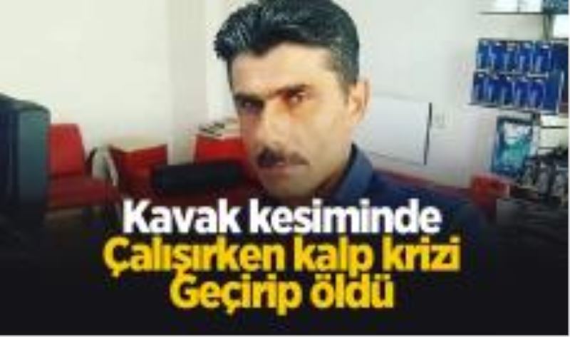 Kavak kesiminde kalp krizi geçirip öldü