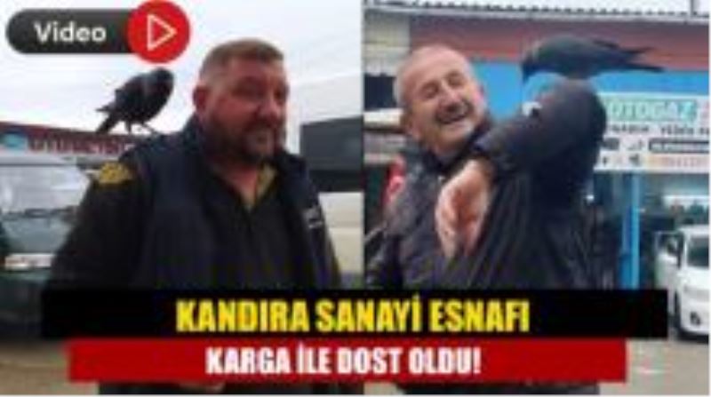 Sanayi esnafı karga ile dost oldu!