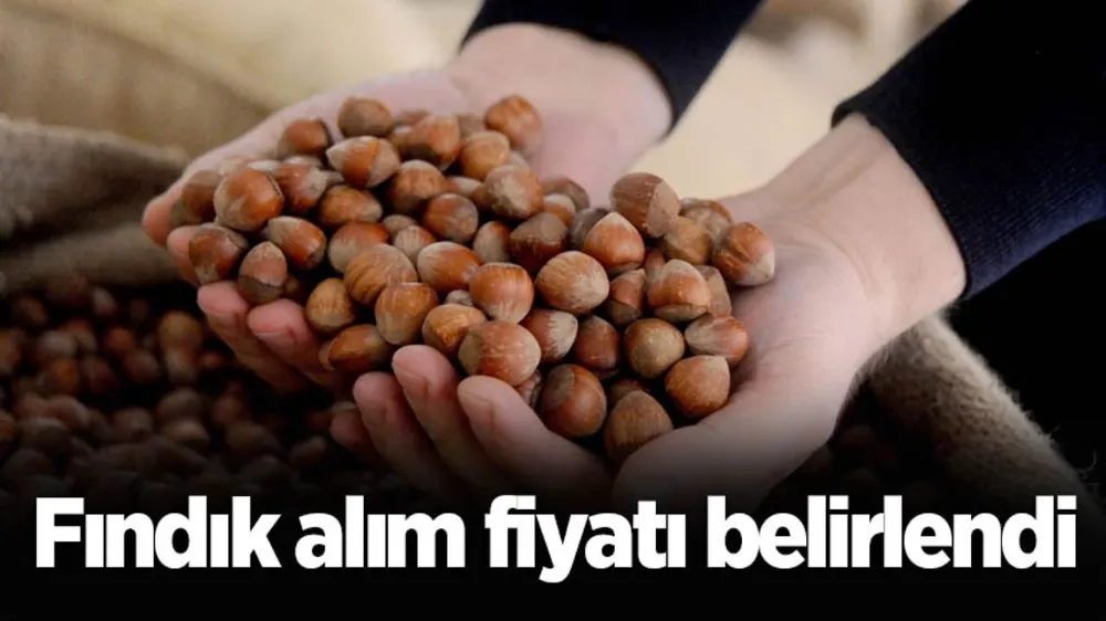 Fındık Fiyatları Açıklandı