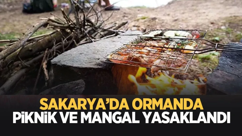 Dikkat buralarda mangal piknik yasak! Cezaları ağır...