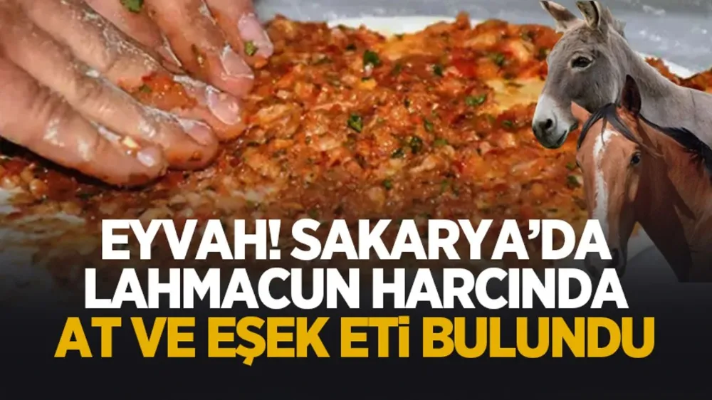 Sakarya