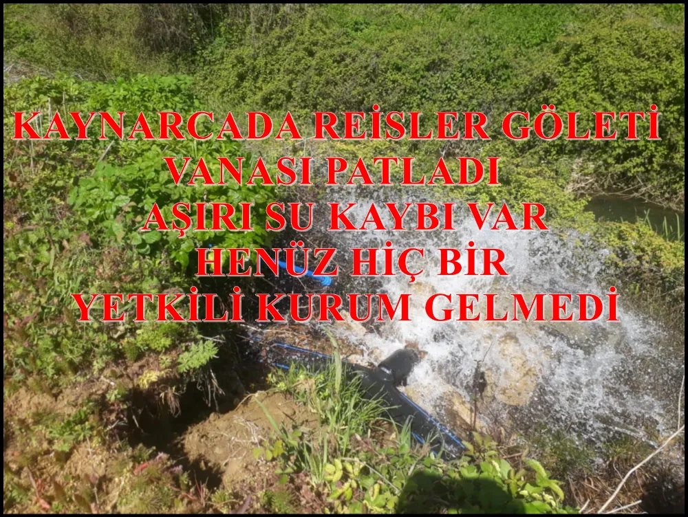 YETKİLİLERİN DİKKATİNE KAYNARCA REİSLER SULAMA GÖLETİ NE AİT  DÜZDEKİ VANA PATLAMIŞ ,AŞIRI SU KAYBI VAR