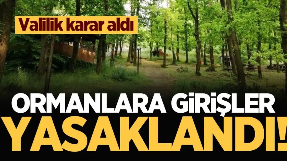 Sakarya’da ormanlık alanlara girişler yasaklandı