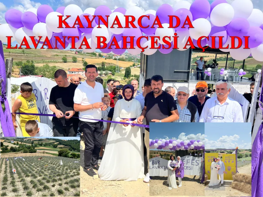 Kaynarca da Lavanta Bahçesi Açıldı, Lavanta Döneminde Evlenecek Çiftler Kaçırmayın