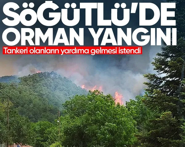 Söğütlü’de orman yangını... Tankeri olanların yardıma gelmesi istendi
