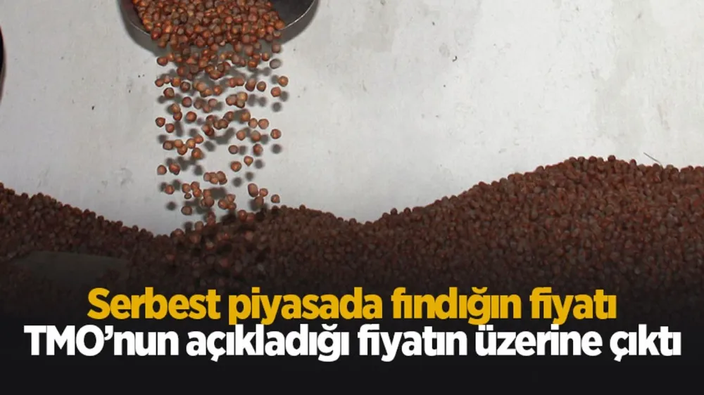 Serbest piyasa fındık fiyatı, TMO