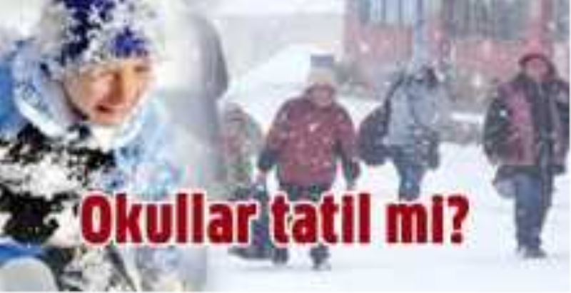 Sakarya Valiliğinden Kar tatili Açıklaması geldi